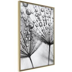 Arkiio Affisch Morning Dew [Poster] 40x60 Poster